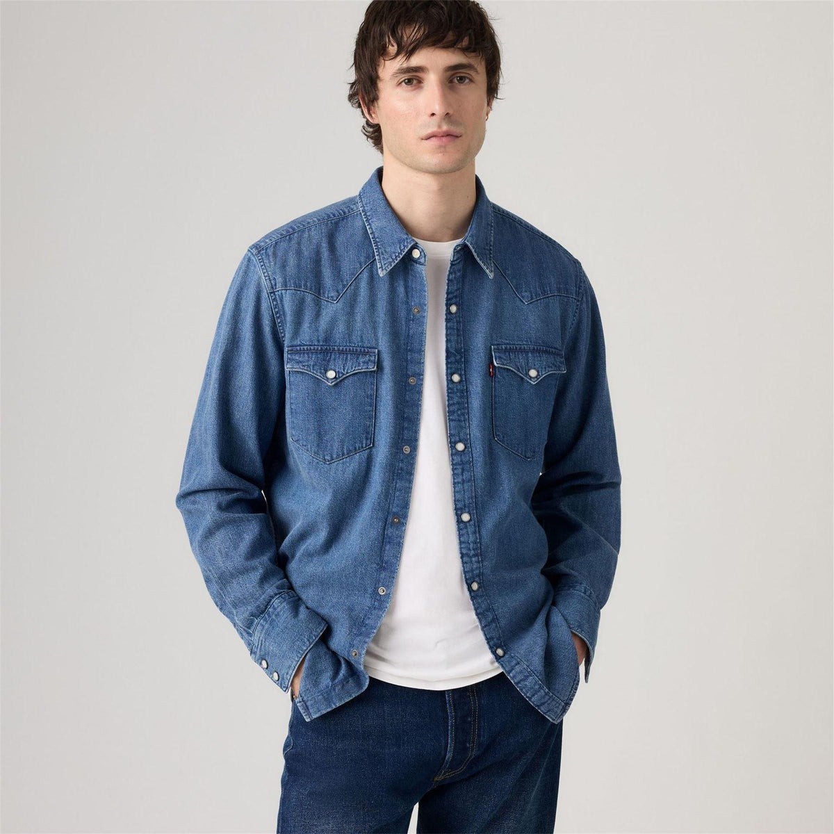 Worn In Root - Back - Levis Mens Western Standard Esta Shirt