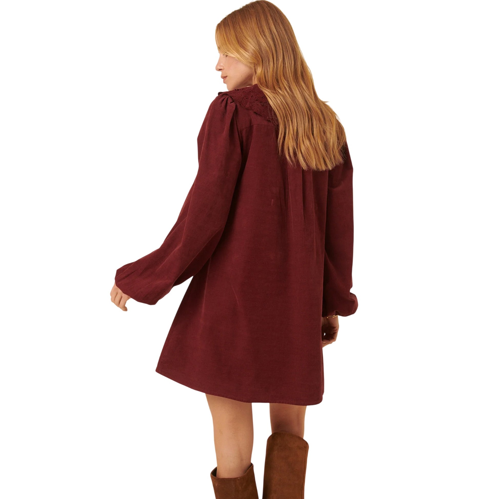 Burgundy - Back - Nobody´s Child Womens-Ladies Bridget Peter Pan Collar Mini Dress