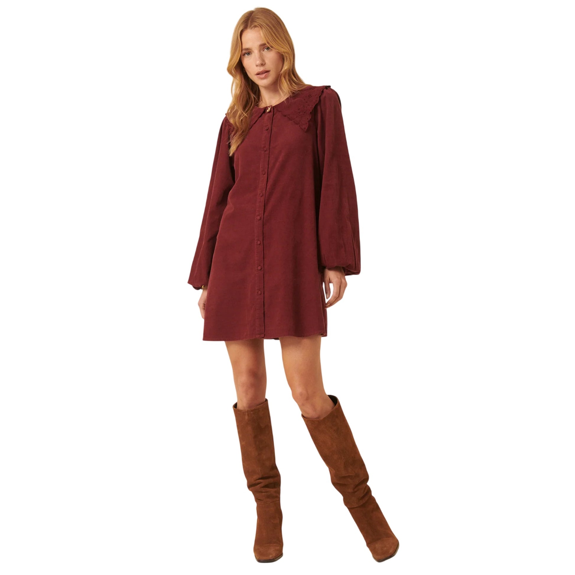 Burgundy - Lifestyle - Nobody´s Child Womens-Ladies Bridget Peter Pan Collar Mini Dress