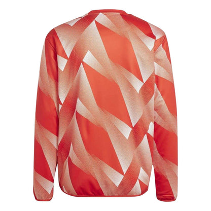 Red-White - Back - Adidas Mens 2023-24 Pre Match FC Bayern Munich Top