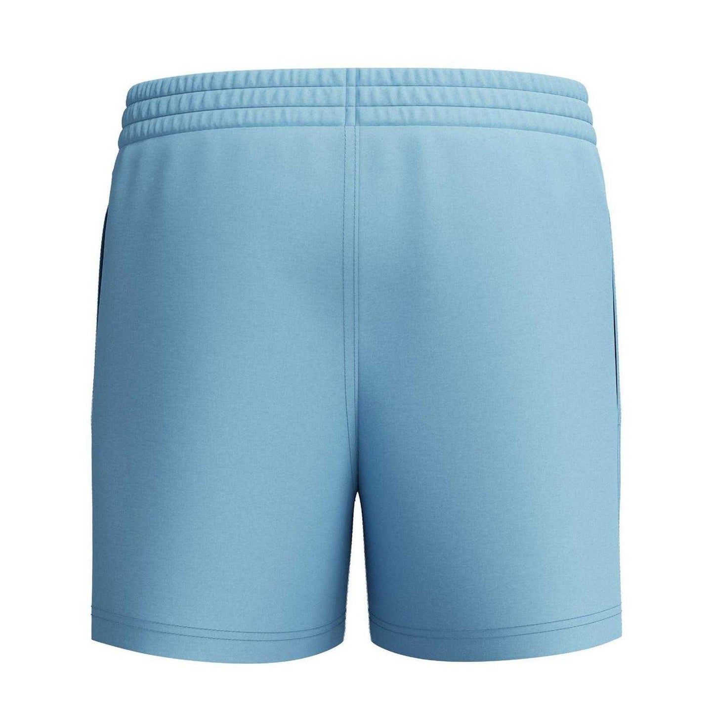 Celestial - Back - Speedo Childrens-Kids Essential Logo Swim Shorts