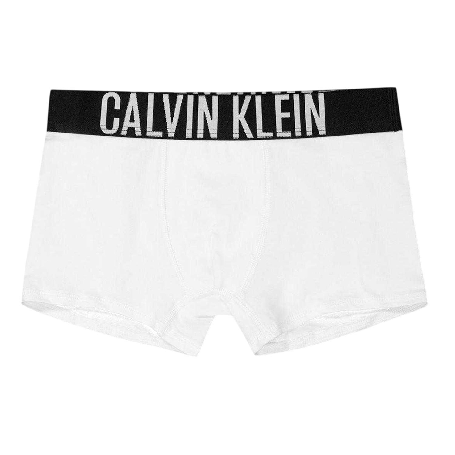 Black - Lifestyle - Calvin Klein Boys Lettering Swimming Trunks (Pack of 2)