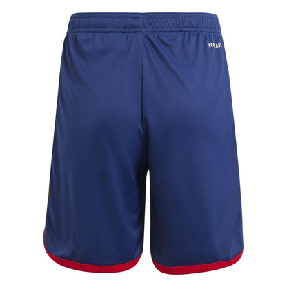 Dark Blue - Back - Adidas Childrens-Kids Olympique Lyonnais Third Shorts