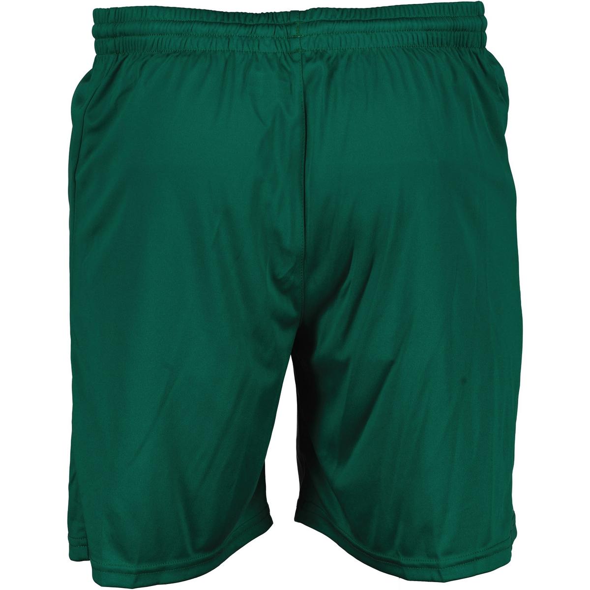 Evergreen - Back - Hummel Mens Core Polyester Shorts