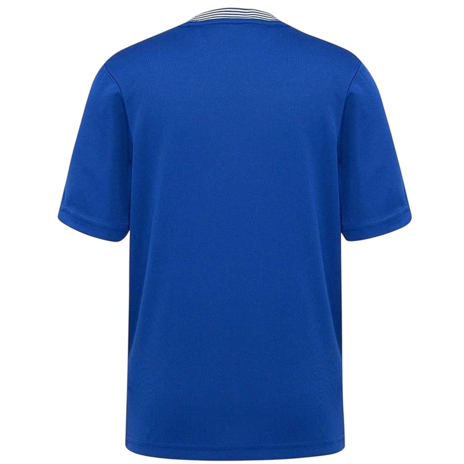Blue - Back - Everton FC Childrens-Kids Home Jersey
