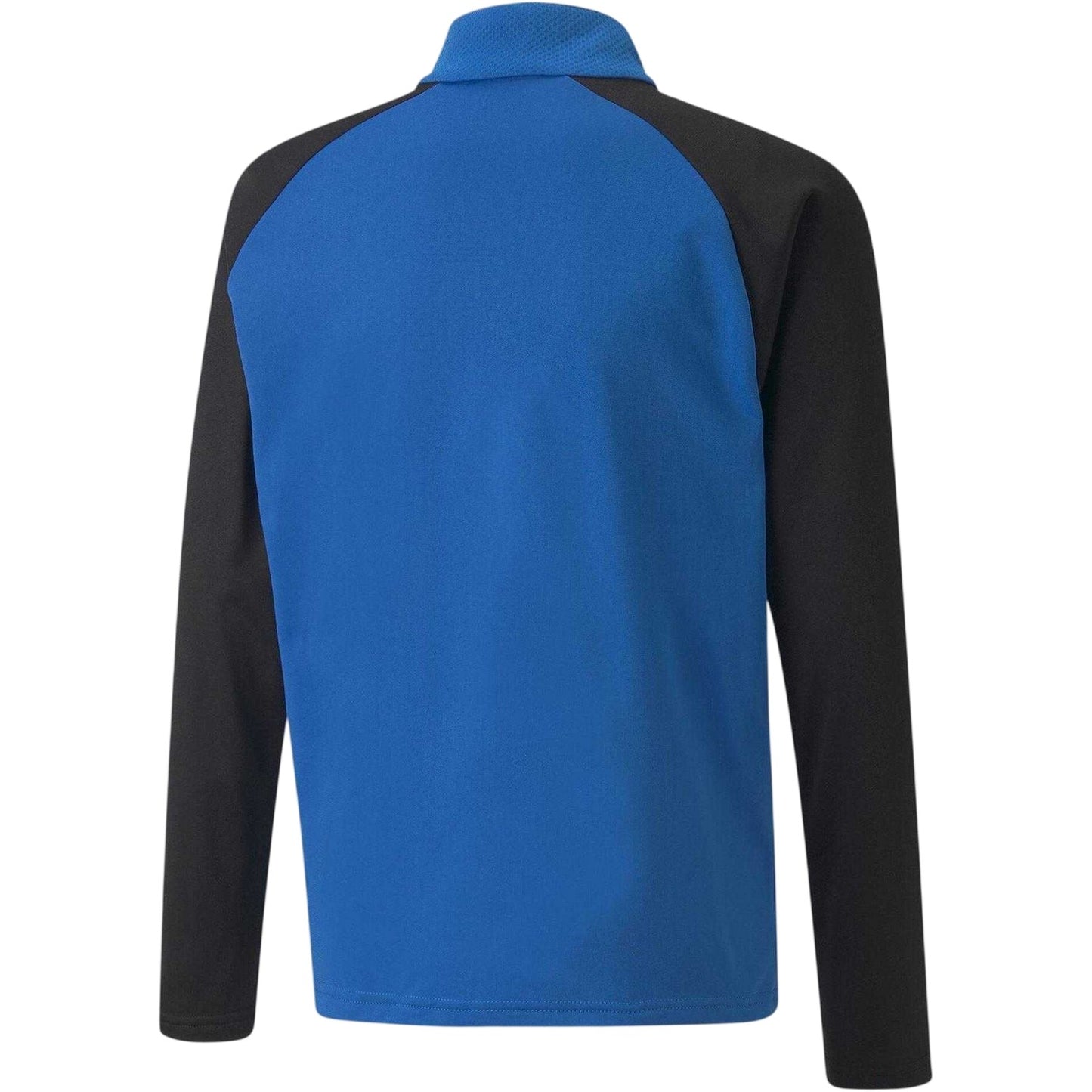 Blue - Back - Puma Childrens-Kids TeamLIGA Quarter Zip Fleece Top
