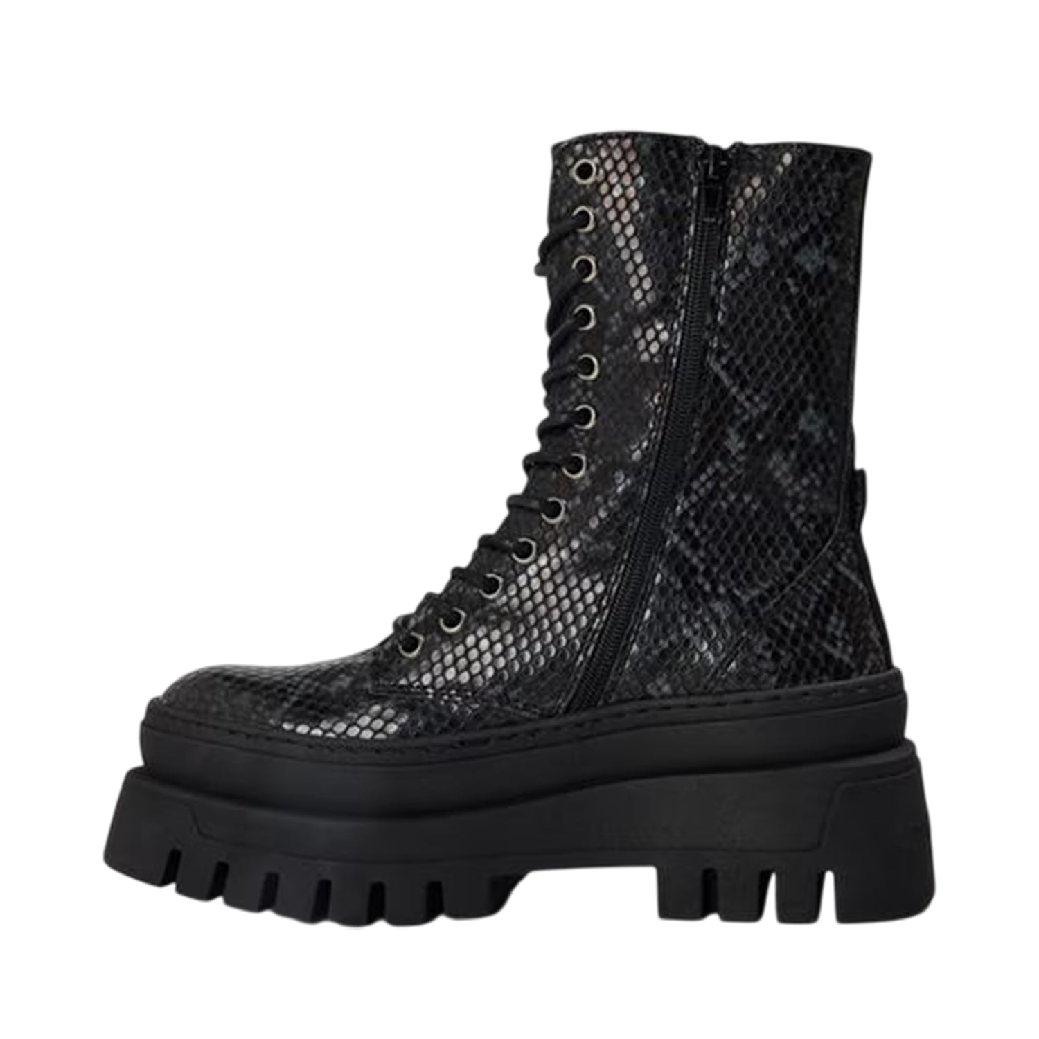 Black - Back - Steve Madden Womens-Ladies Coast Snake Print Platform Combat Boots