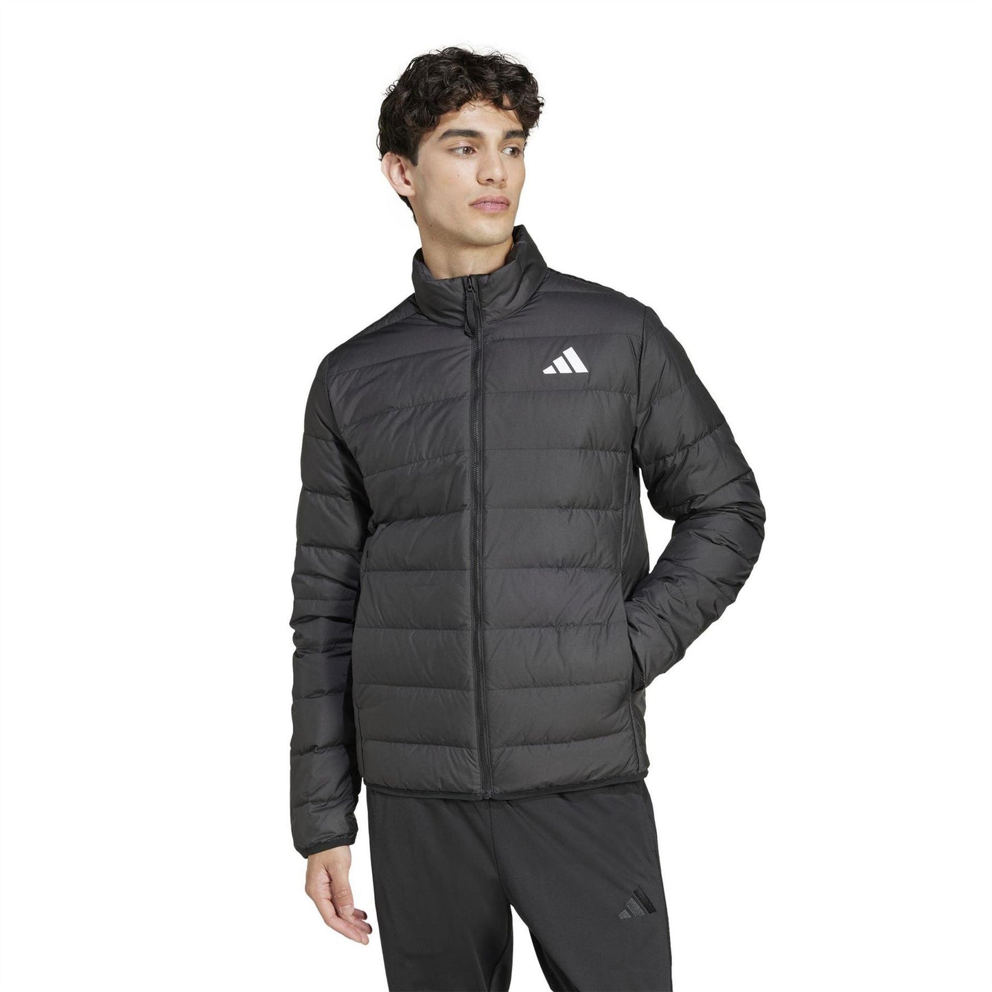 Black - Pack Shot - Adidas Mens Essentials Lite Lightweight Down Jacket