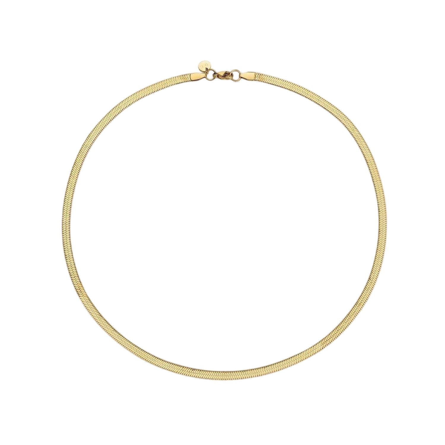 Gold - Front - D.Louise Chain Necklace