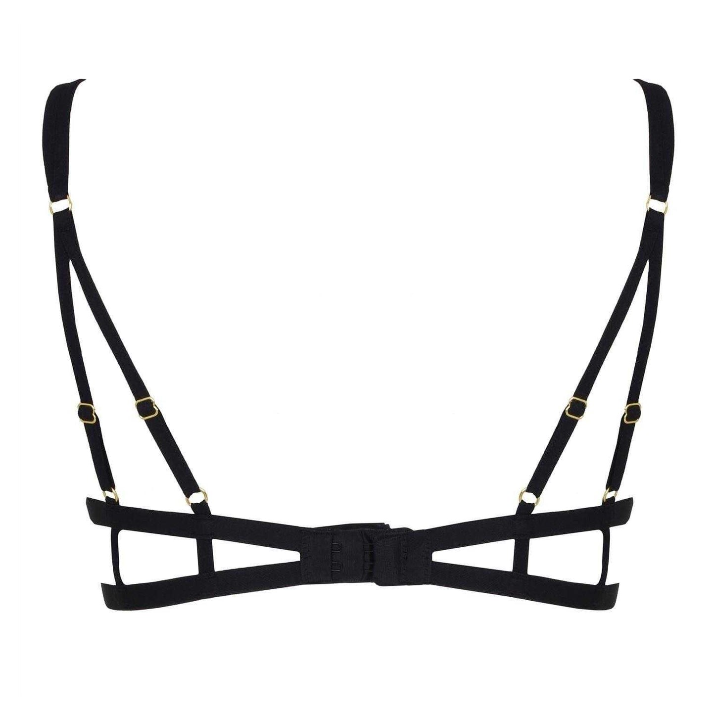Black - Back - Bluebella Womens-Ladies Cut Out Lace Bra