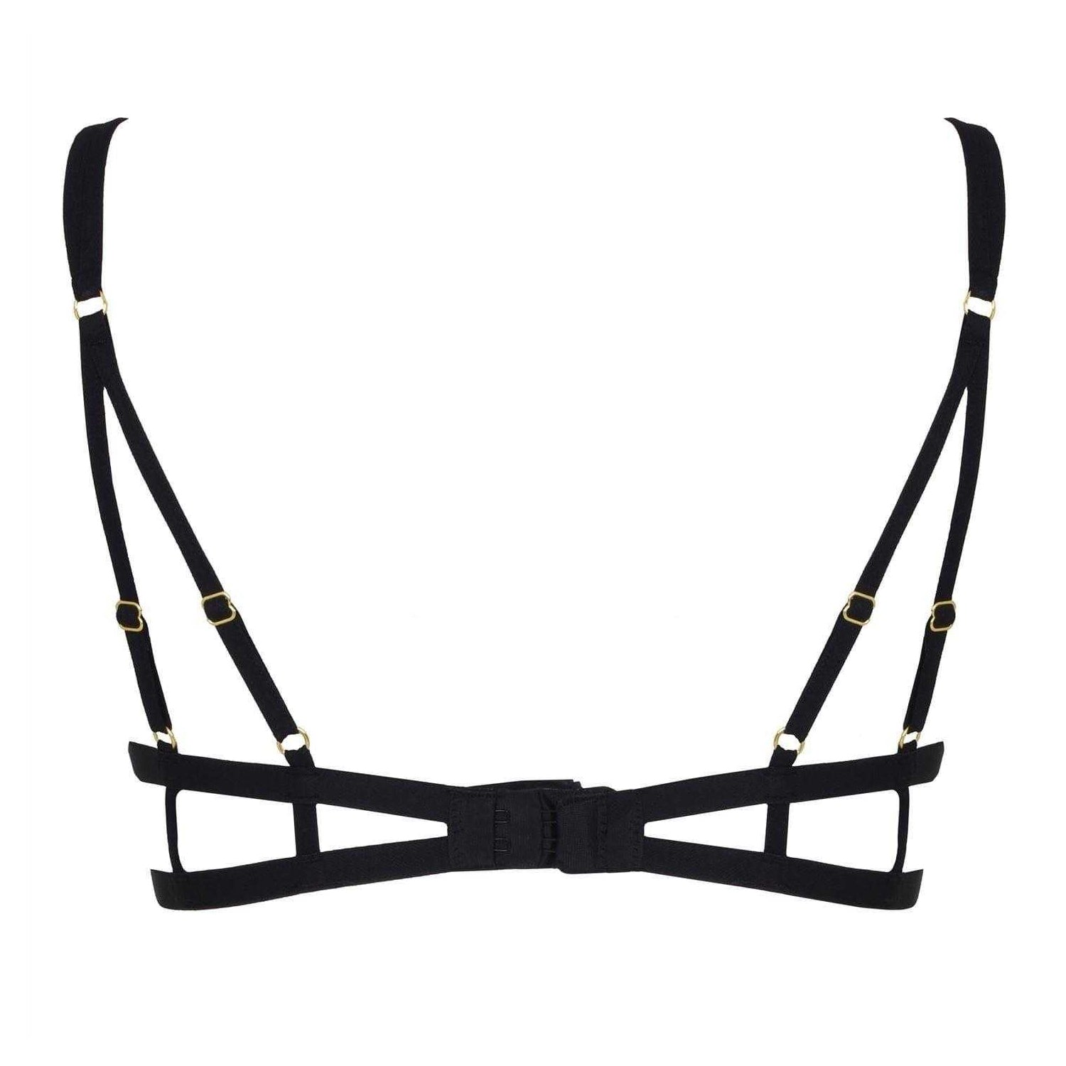 Black - Back - Bluebella Womens-Ladies Cut Out Lace Bra