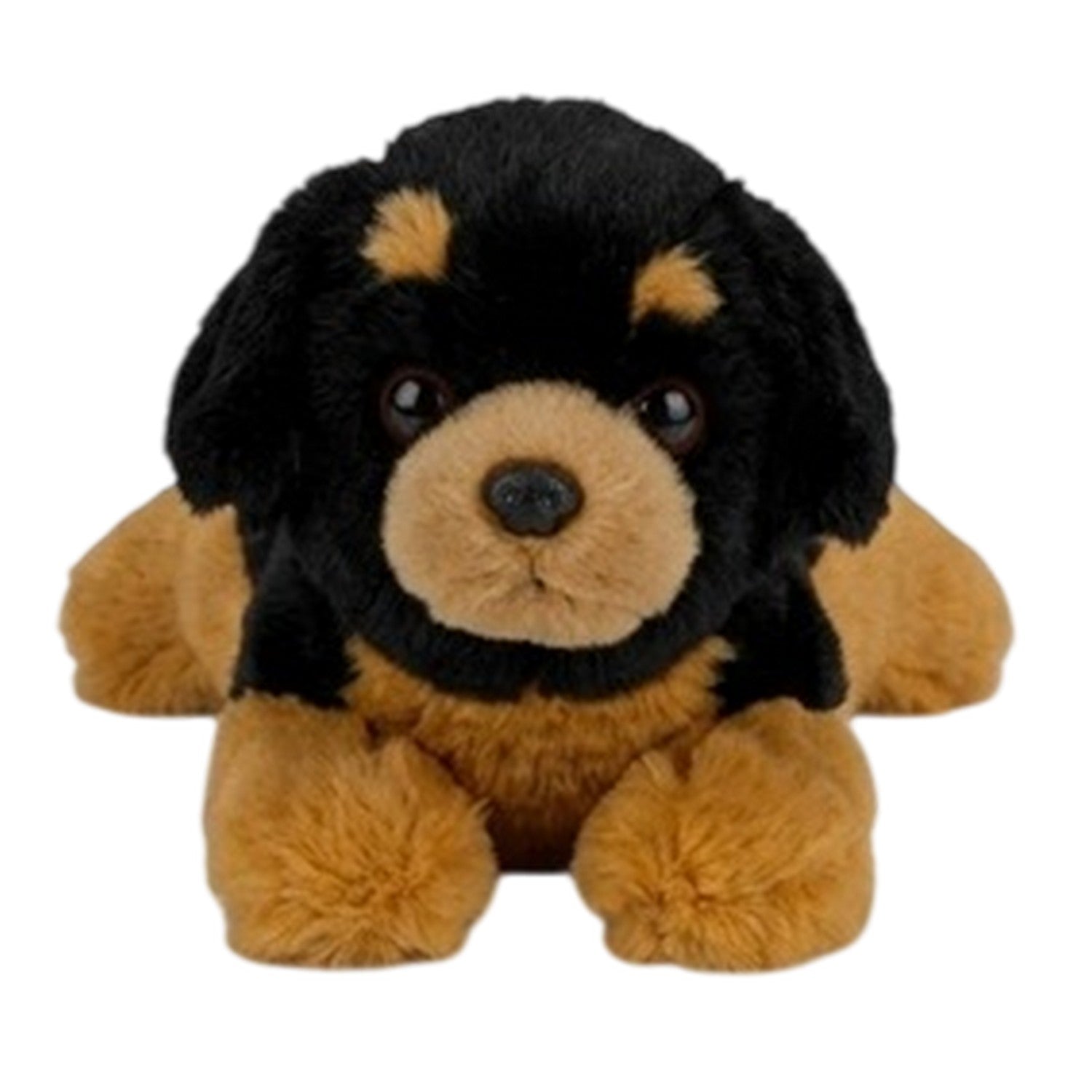 Multicoloured Print - Side - Eddy Toys Plush Dog Toy (Pack of 3)
