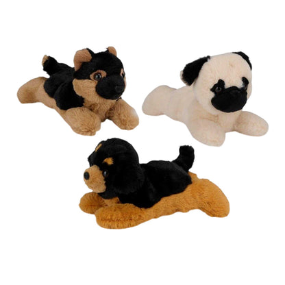Multicoloured Print - Front - Eddy Toys Plush Dog Toy (Pack of 3)