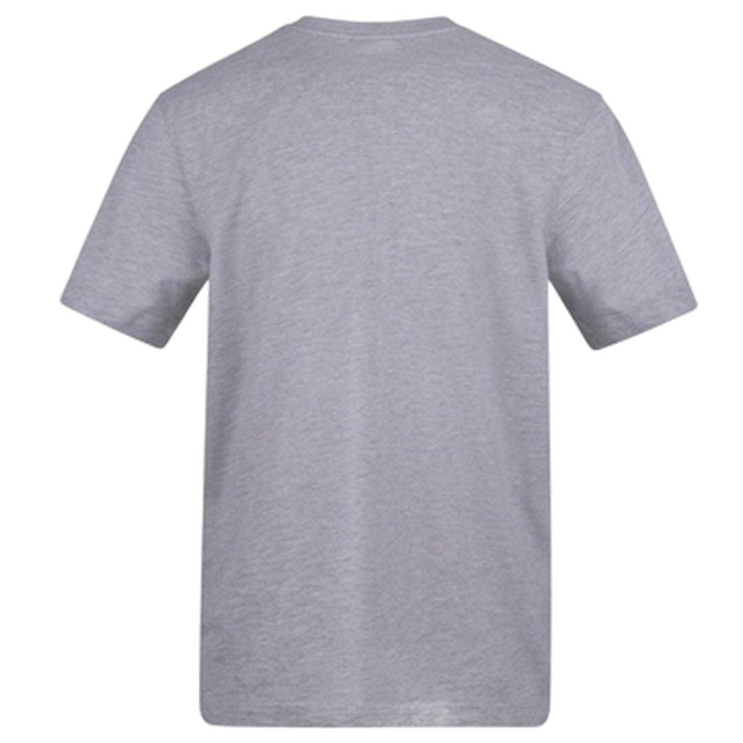 Grey - Back - AWD Unisex Adult Vinyl Junkie Printed T-Shirt