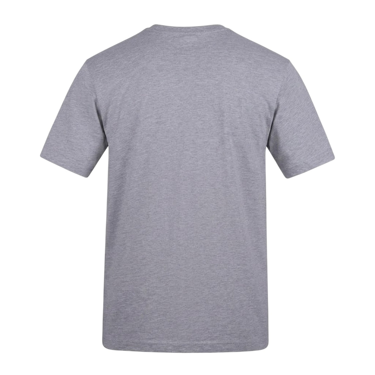 Grey - Back - Game of Thrones Unisex Adult Logo T-Shirt