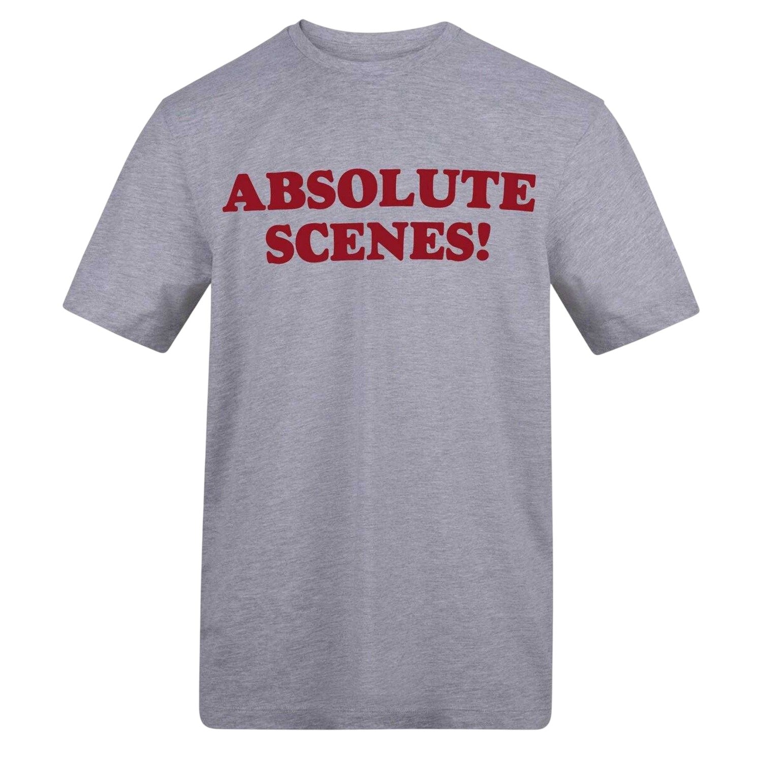 Grey - Front - AWD Unisex Adult Absolute Scenes Printed Cotton Jersey T-Shirt
