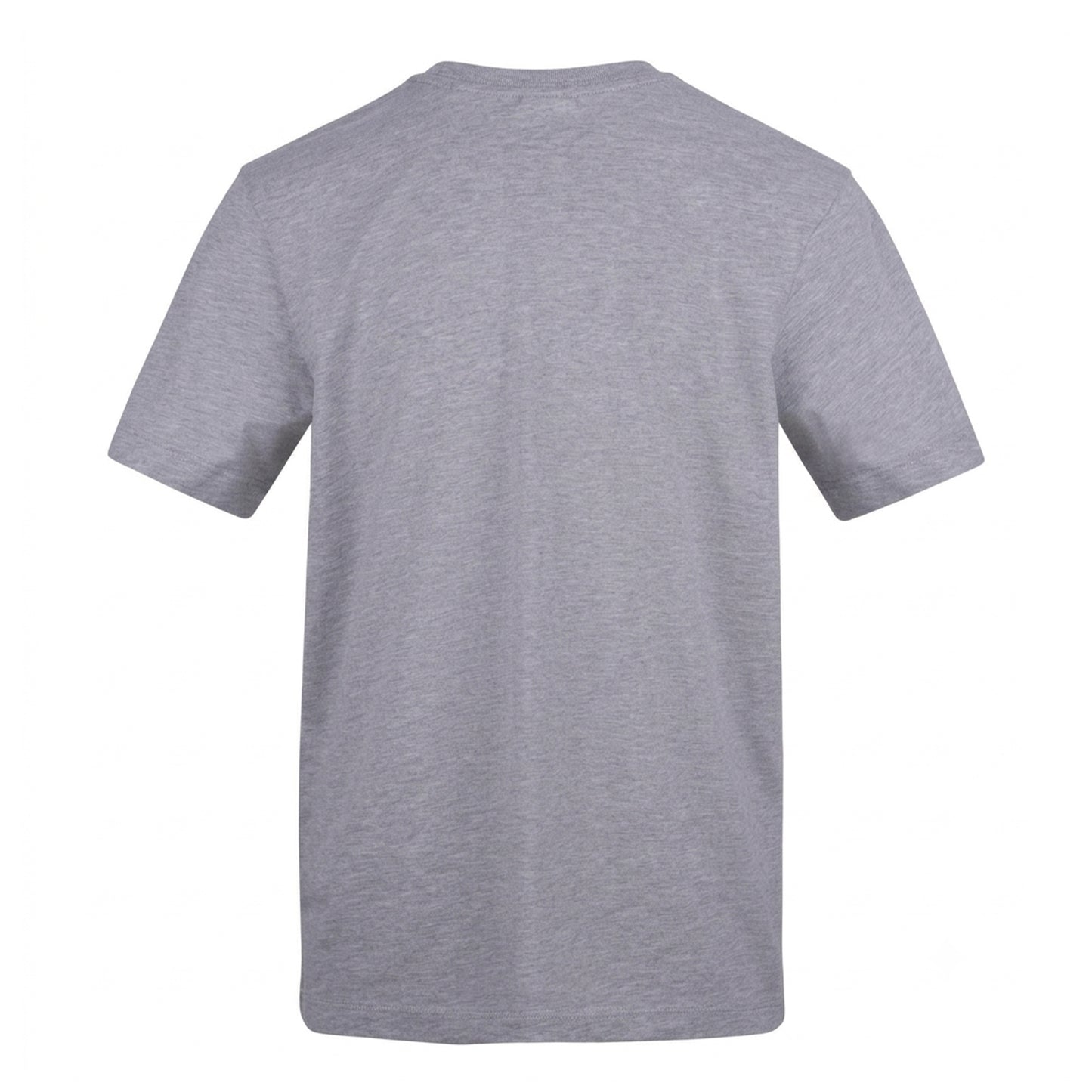 Grey - Back - AWD Unisex Adult Indie Kid Cotton T-Shirt