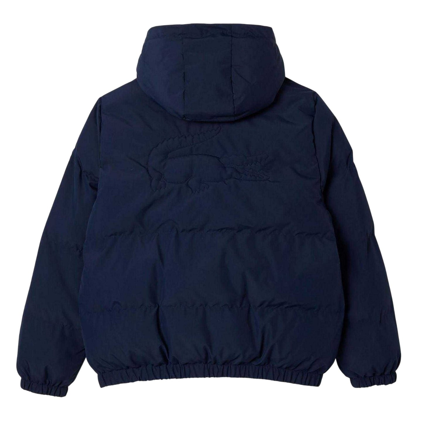 Navy - Back - Lacoste Childrens-Kids Plain Padded Hooded Jacket