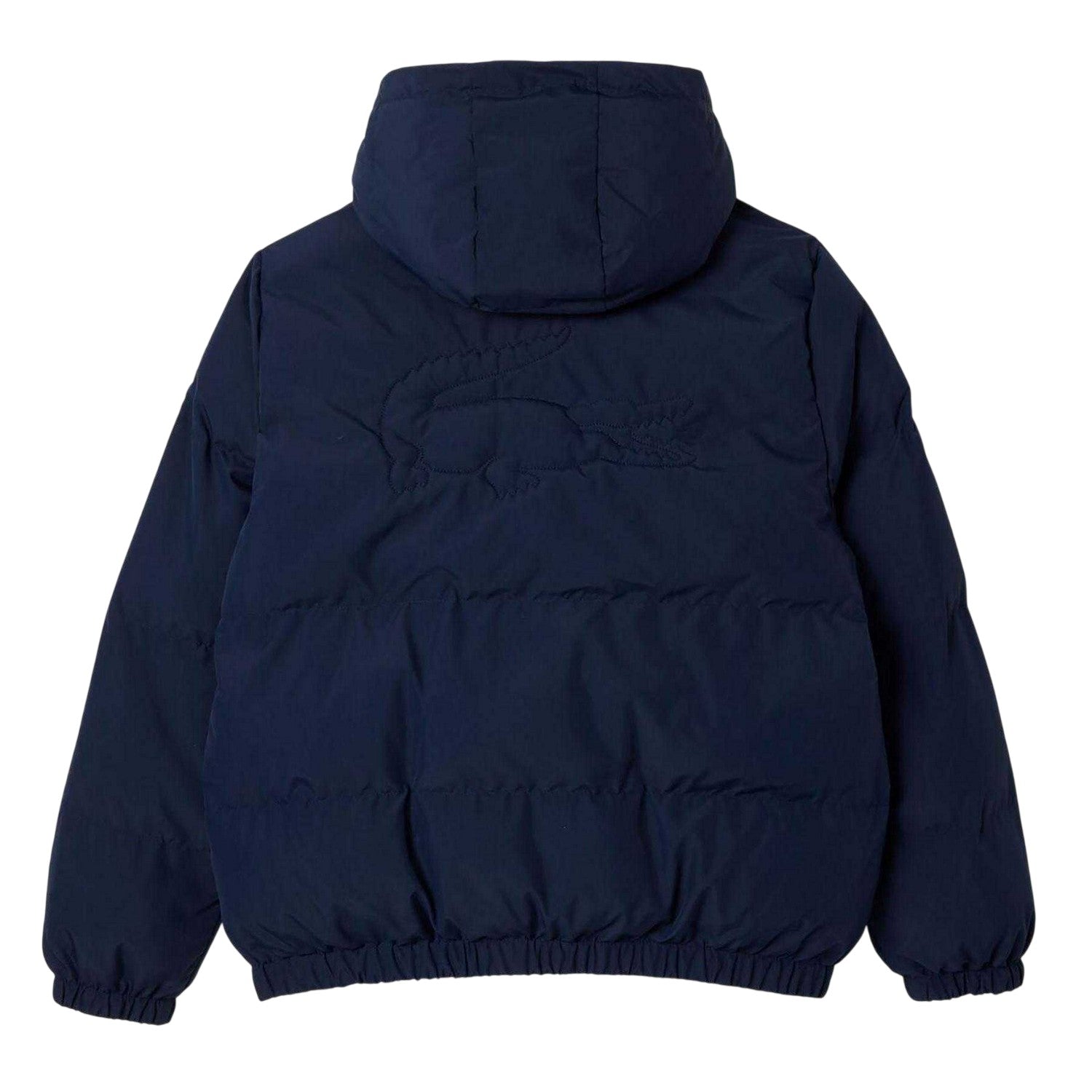 Navy - Back - Lacoste Childrens-Kids Plain Padded Hooded Jacket
