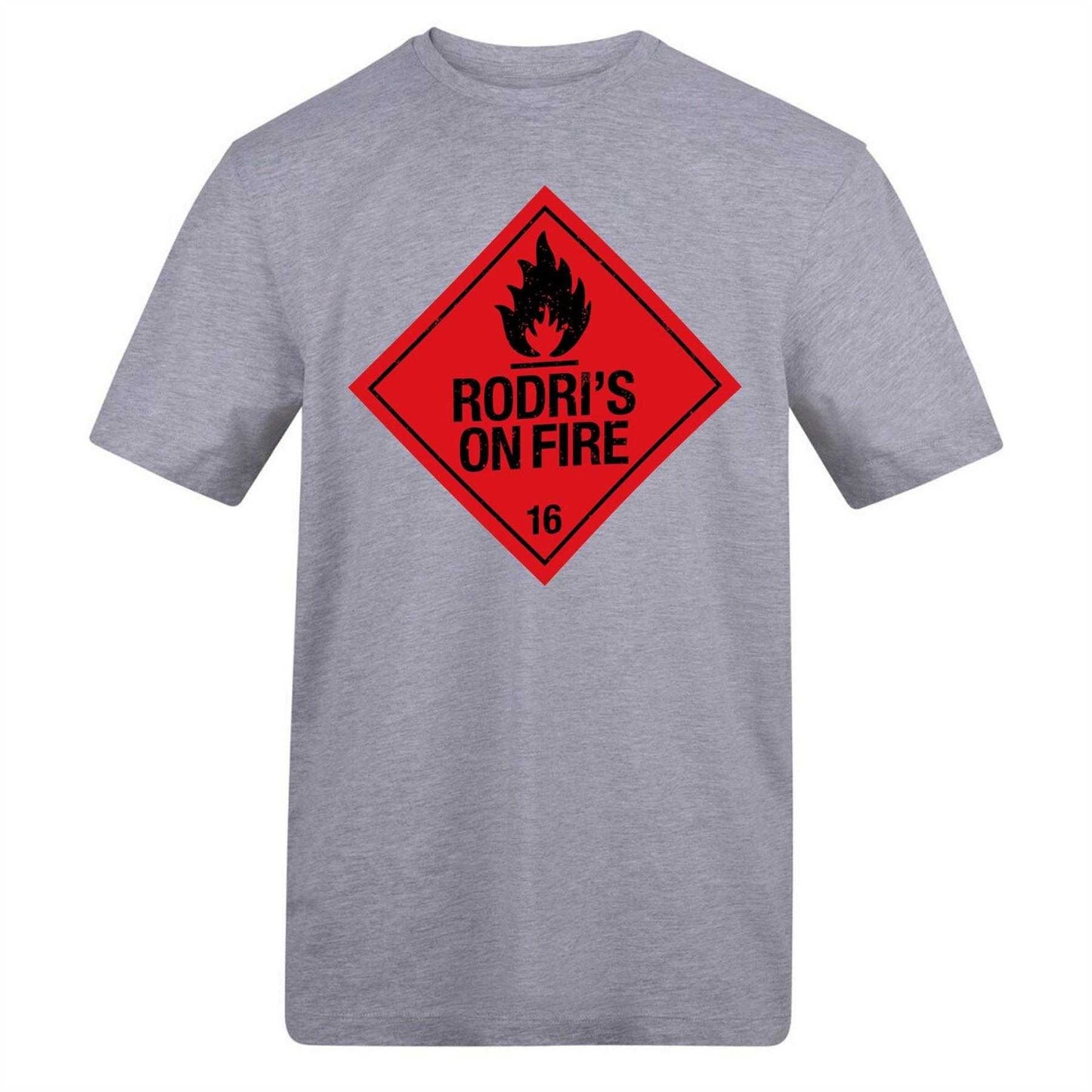 Grey - Front - AWD Unisex Adult Rodri Flame T-Shirt