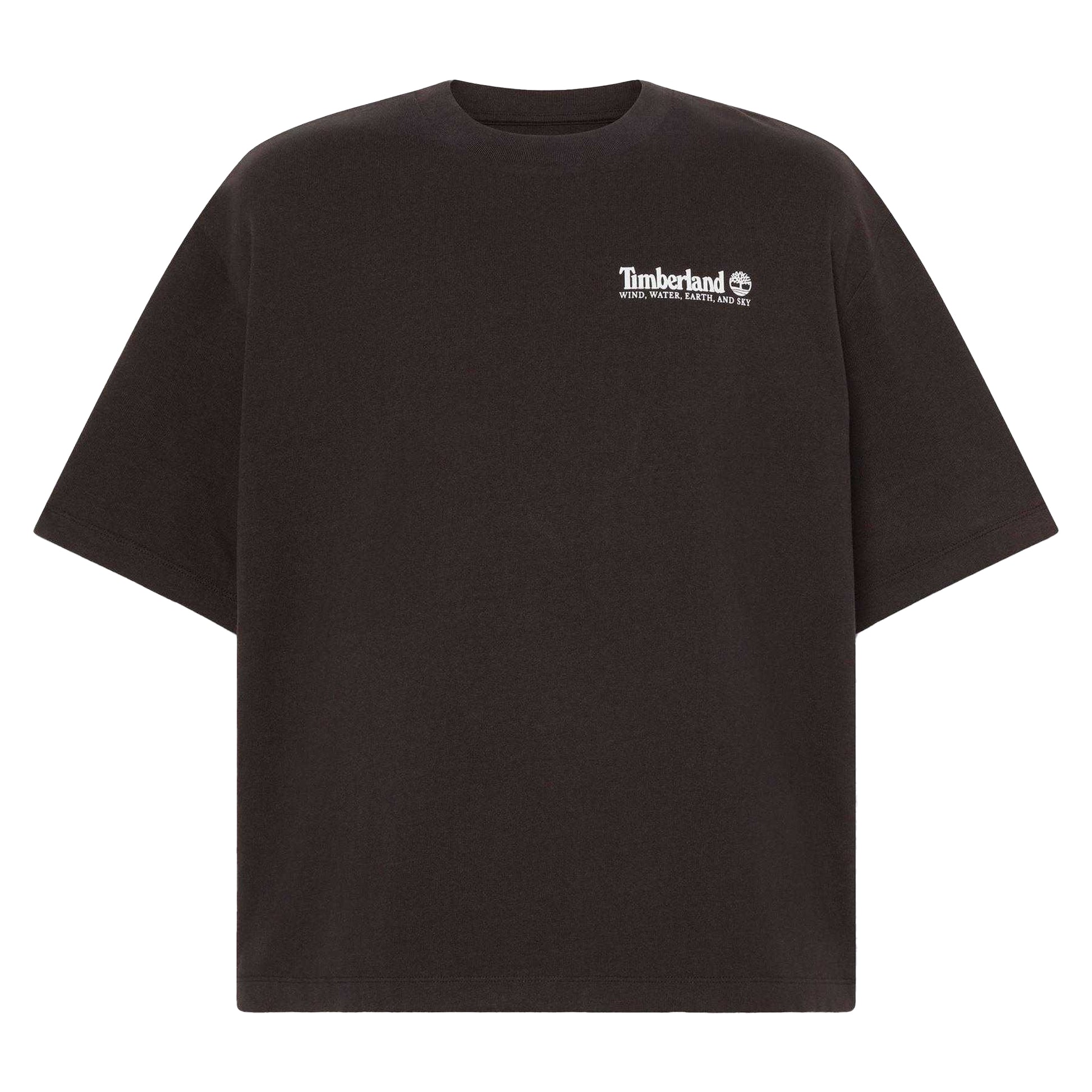 Black - Front - Timberland Mens Mountain Scene T-Shirt