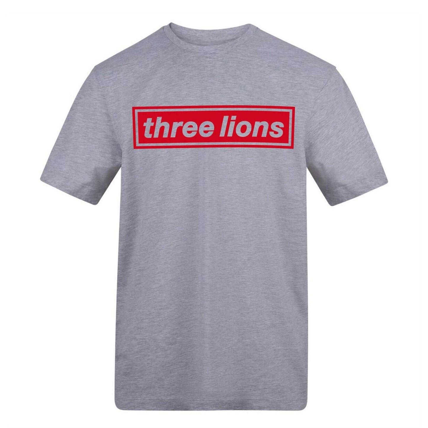 Grey - Front - AWD Mens Three Lions England T-Shirt