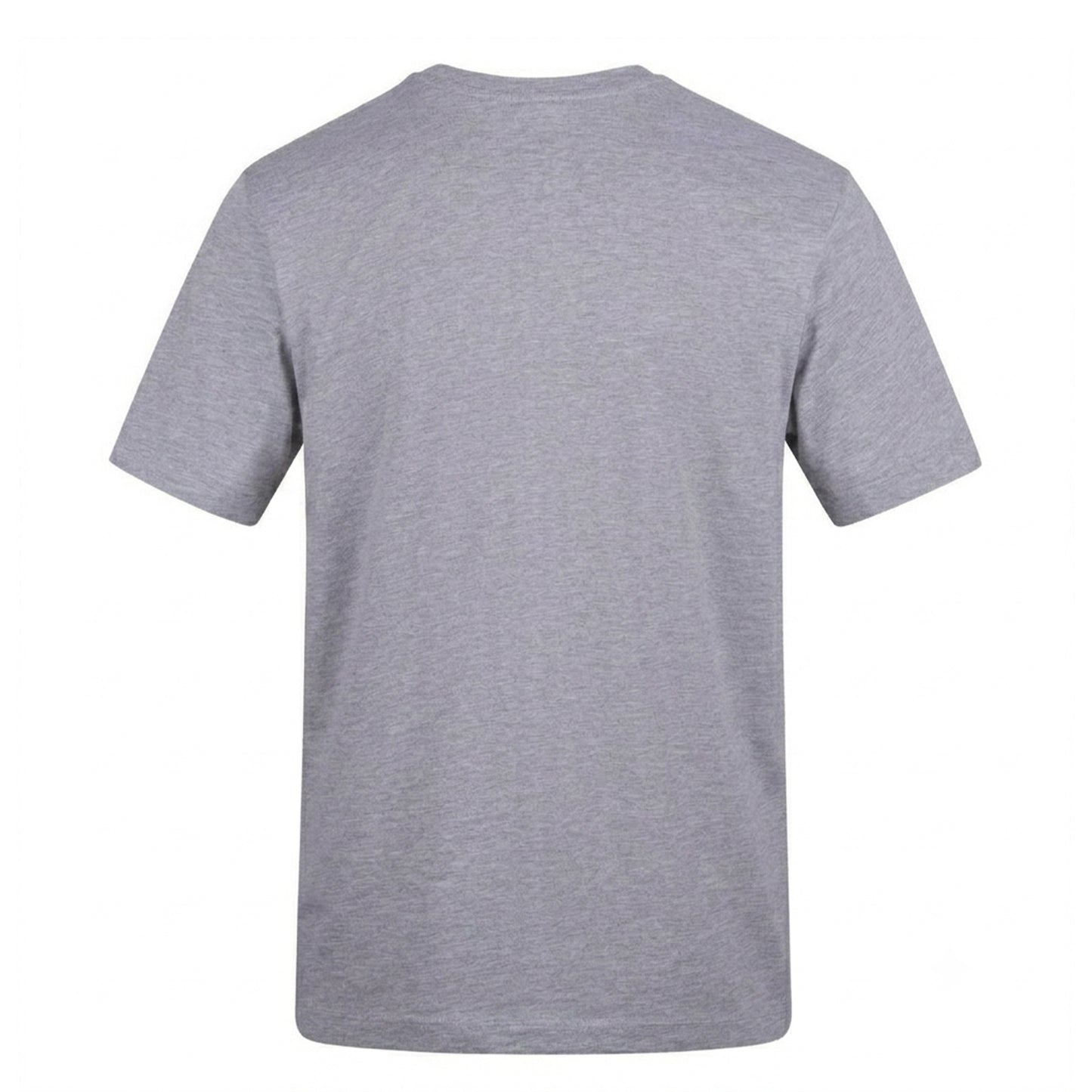 Grey - Back - F1 Unisex Adult Lindblad Cotton T-Shirt