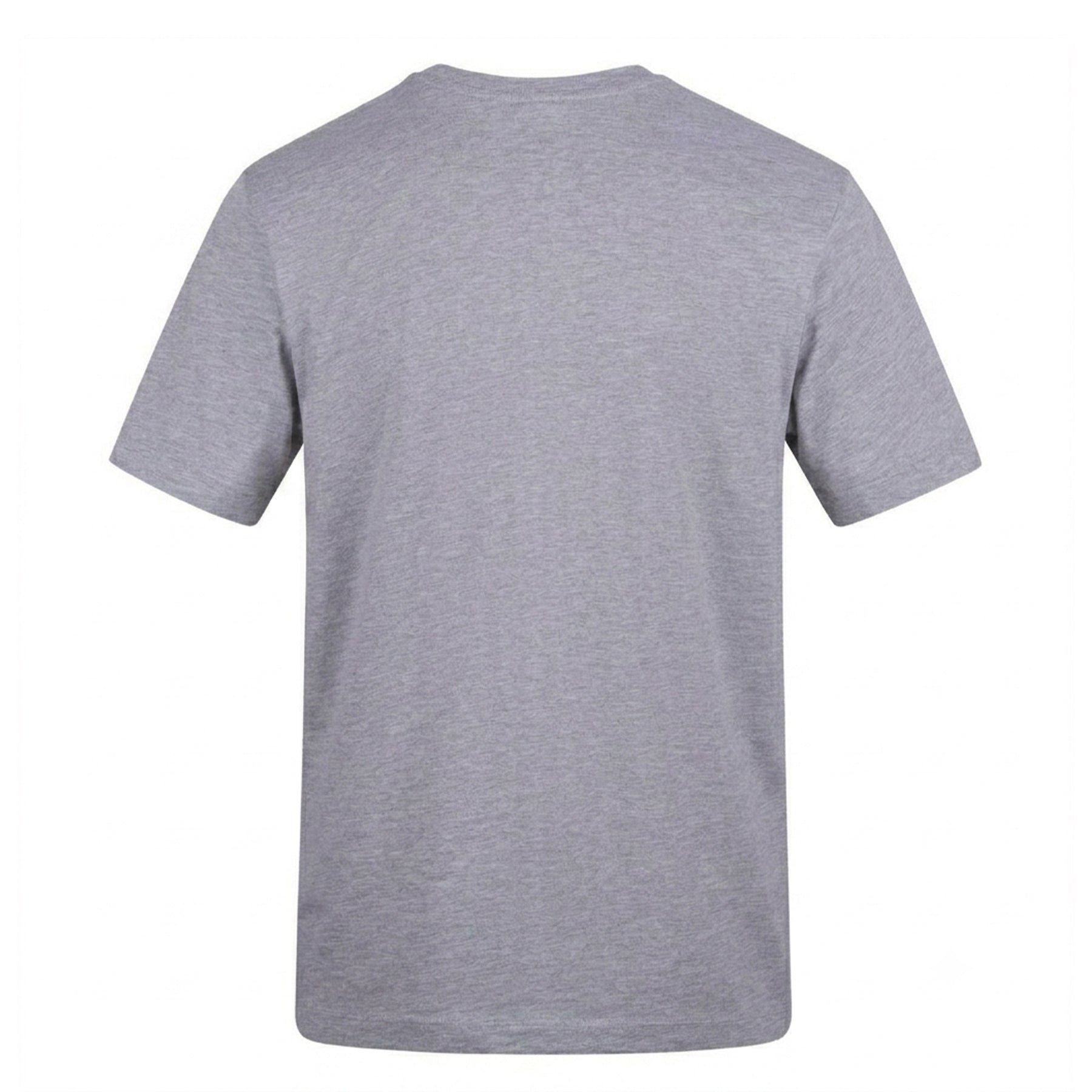 Grey - Back - F1 Unisex Adult Lindblad Cotton T-Shirt