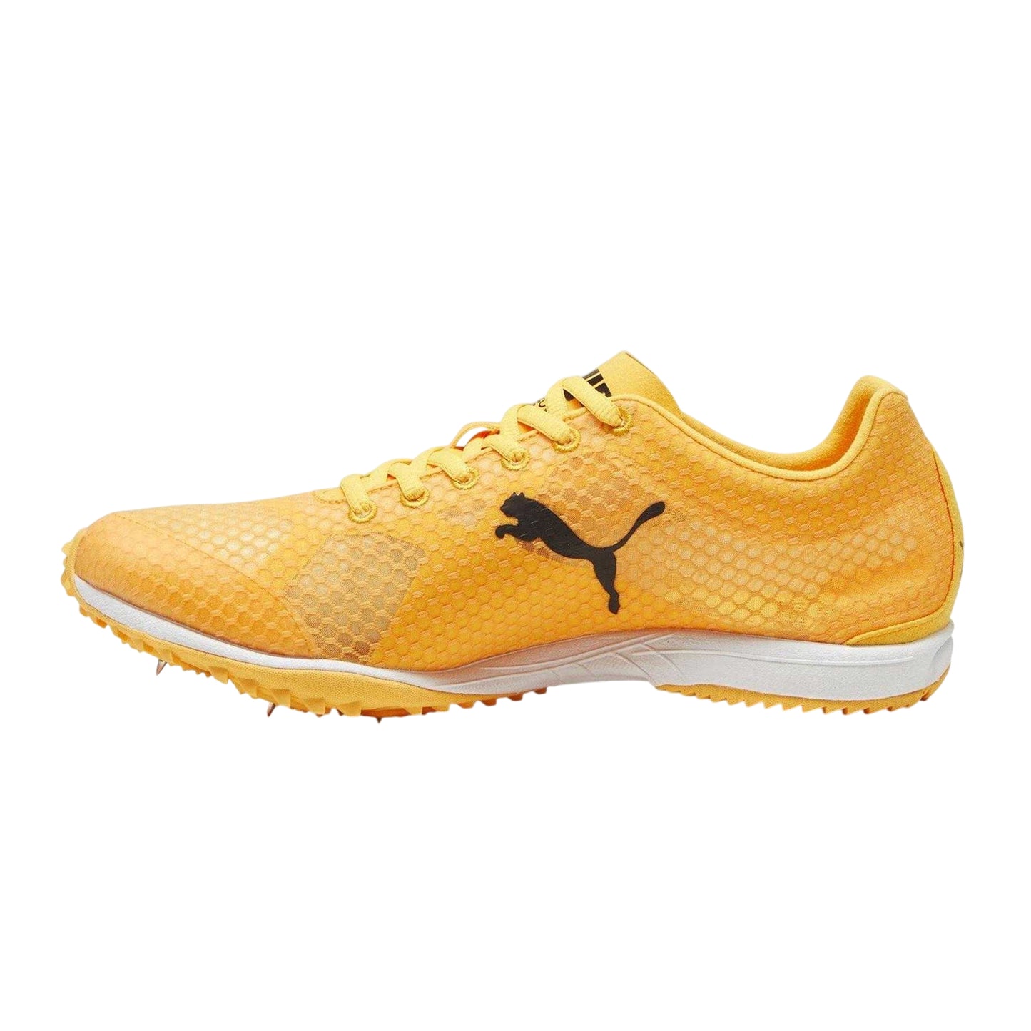 Sun Stream - Back - Puma Mens Evospeed Haraka Spikes Football Boots