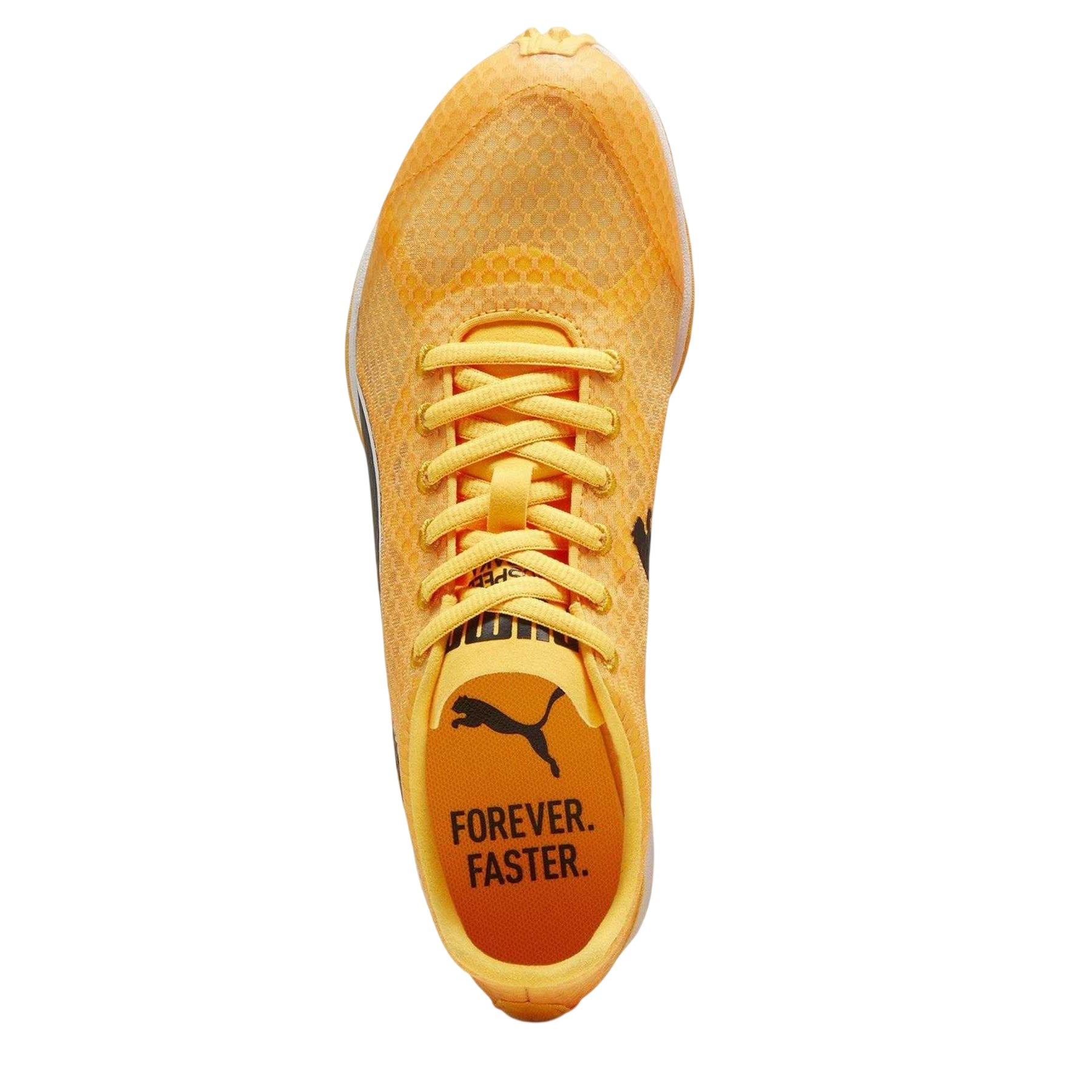 Sun Stream - Side - Puma Mens Evospeed Haraka Spikes Football Boots