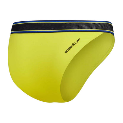 Green - Back - Speedo Womens-Ladies Striped Bikini Bottoms