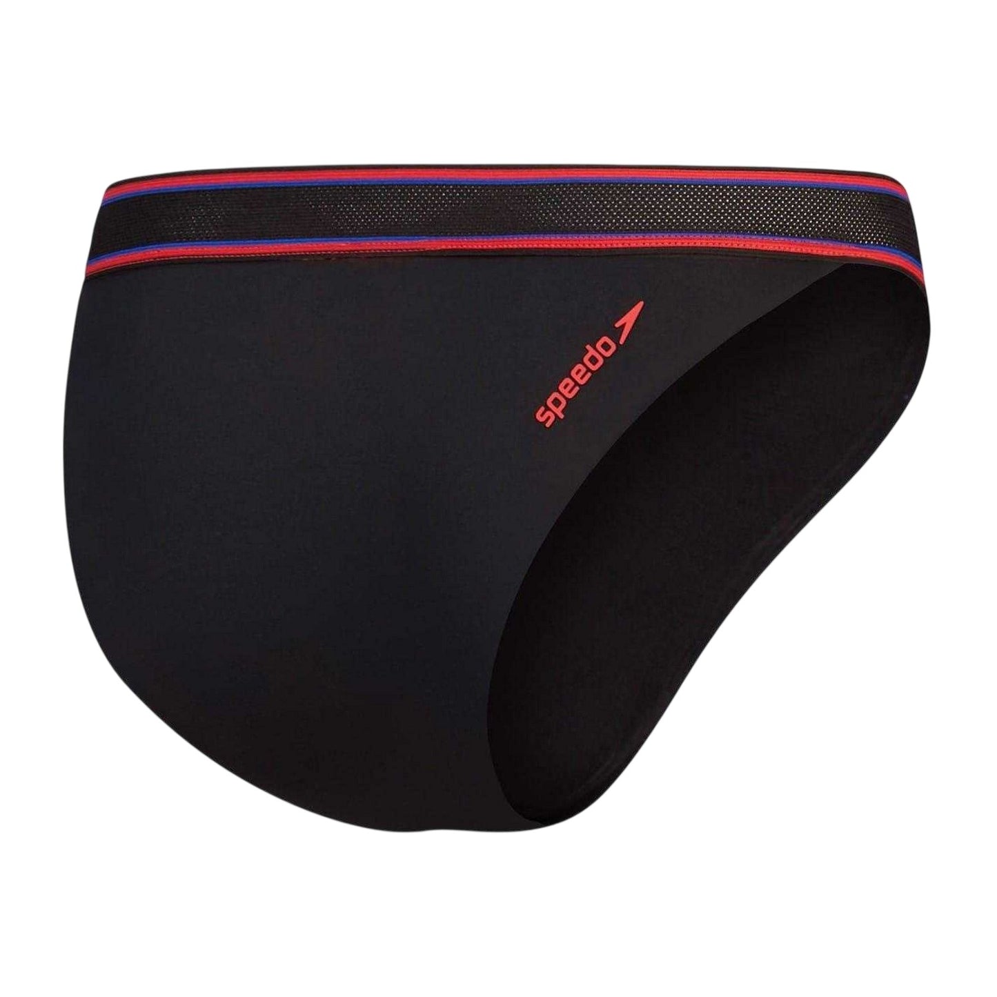Grey - Back - Speedo Womens-Ladies Striped V-Cut Bikini Bottoms