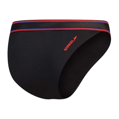 Grey - Back - Speedo Womens-Ladies Striped V-Cut Bikini Bottoms