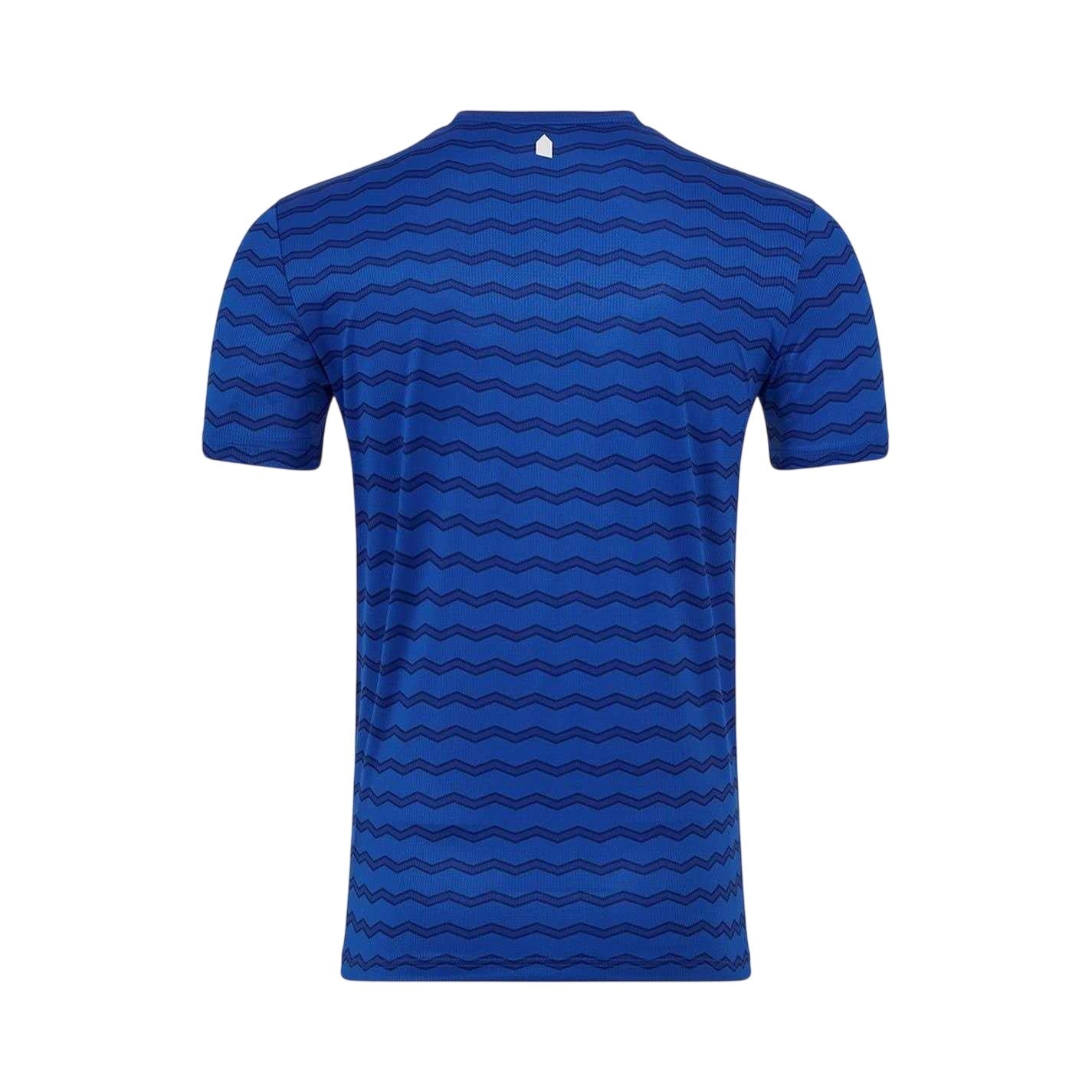Blue - Back - Castore Childrens-Kids 2025-2026 Everton FC Football Shirt