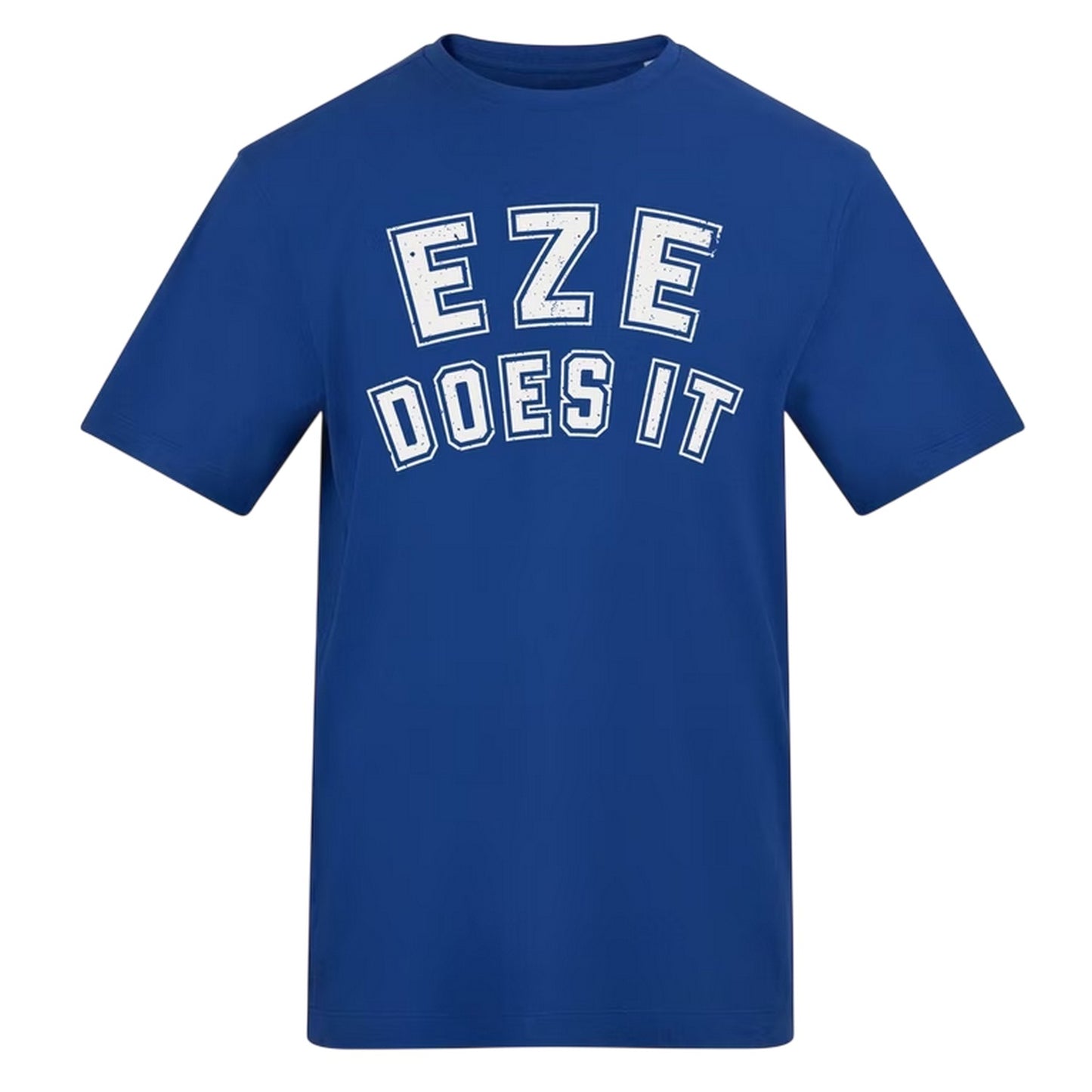 Blue - Front - AWD Unisex Adult Eze Does It Football T-Shirt