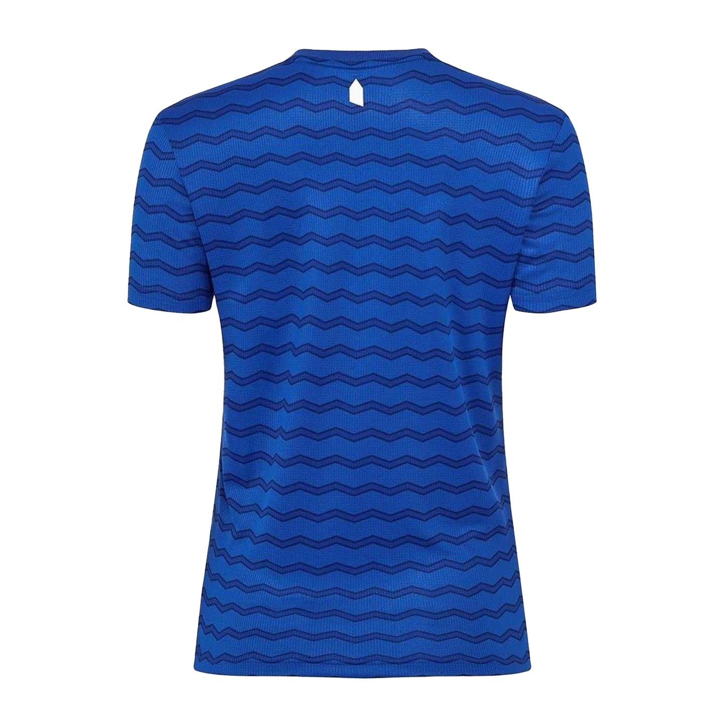 Blue - Back - Castore Unisex Adult 2025-2026 Everton FC Football Shirt