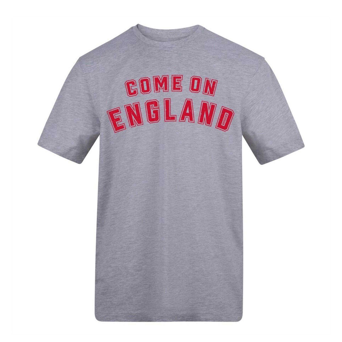 Grey - Front - England Unisex Adult England World Cup Graphic Print Cotton Blend T-Shirt