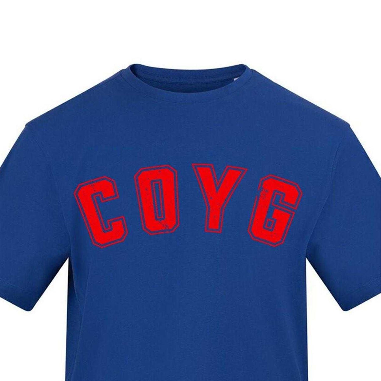 Blue - Side - AWD Mens Carabao Cup Printed T-Shirt