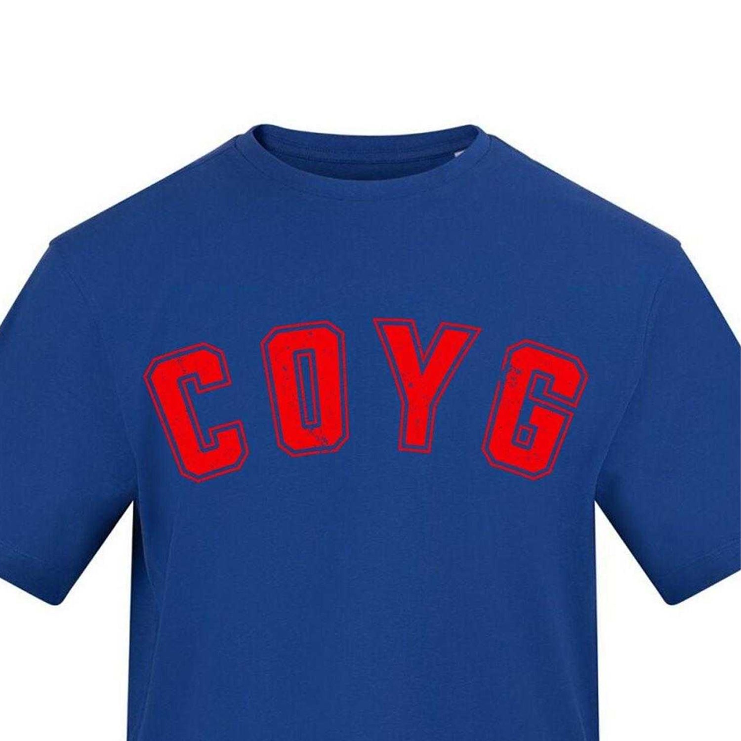 Blue - Side - AWD Mens Carabao Cup Printed T-Shirt