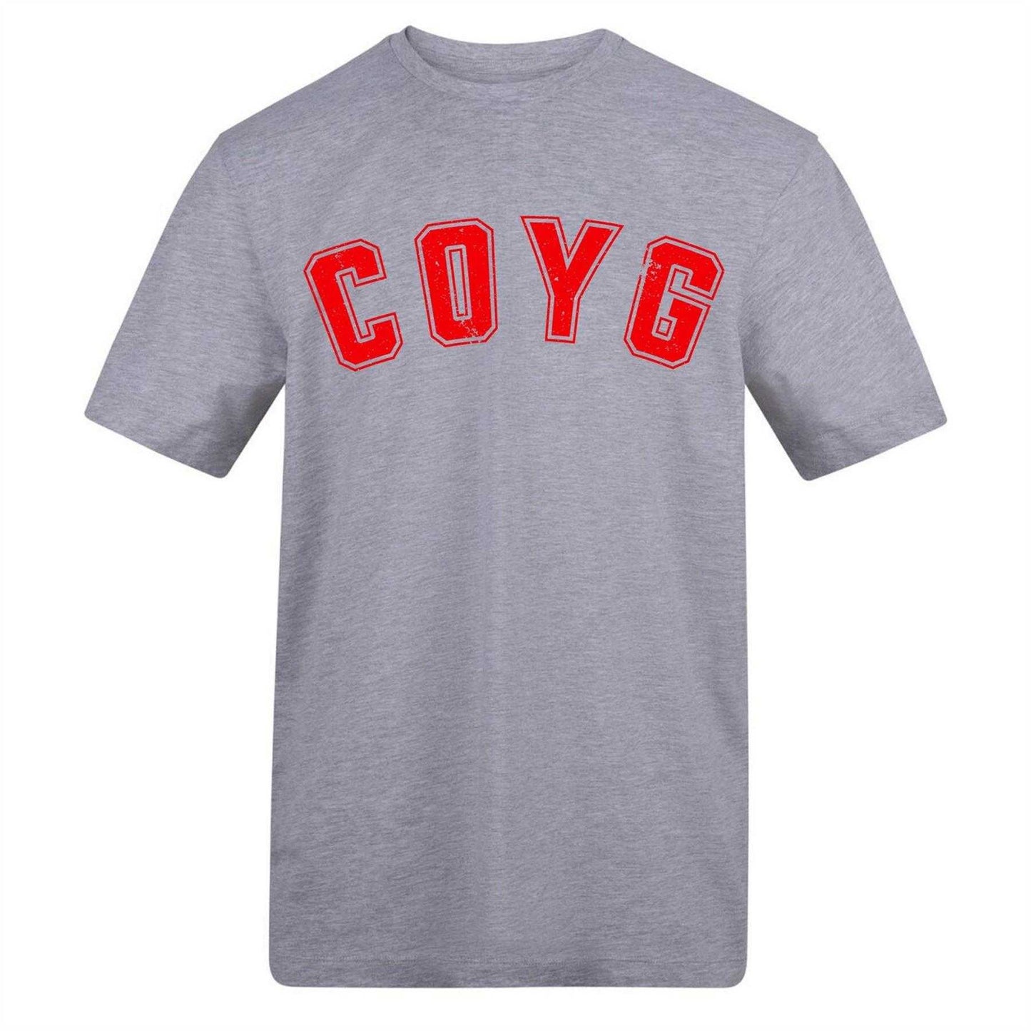 Grey - Front - AWD Mens Carabao Cup Printed T-Shirt