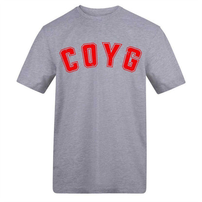 Grey - Front - AWD Mens Carabao Cup Printed T-Shirt