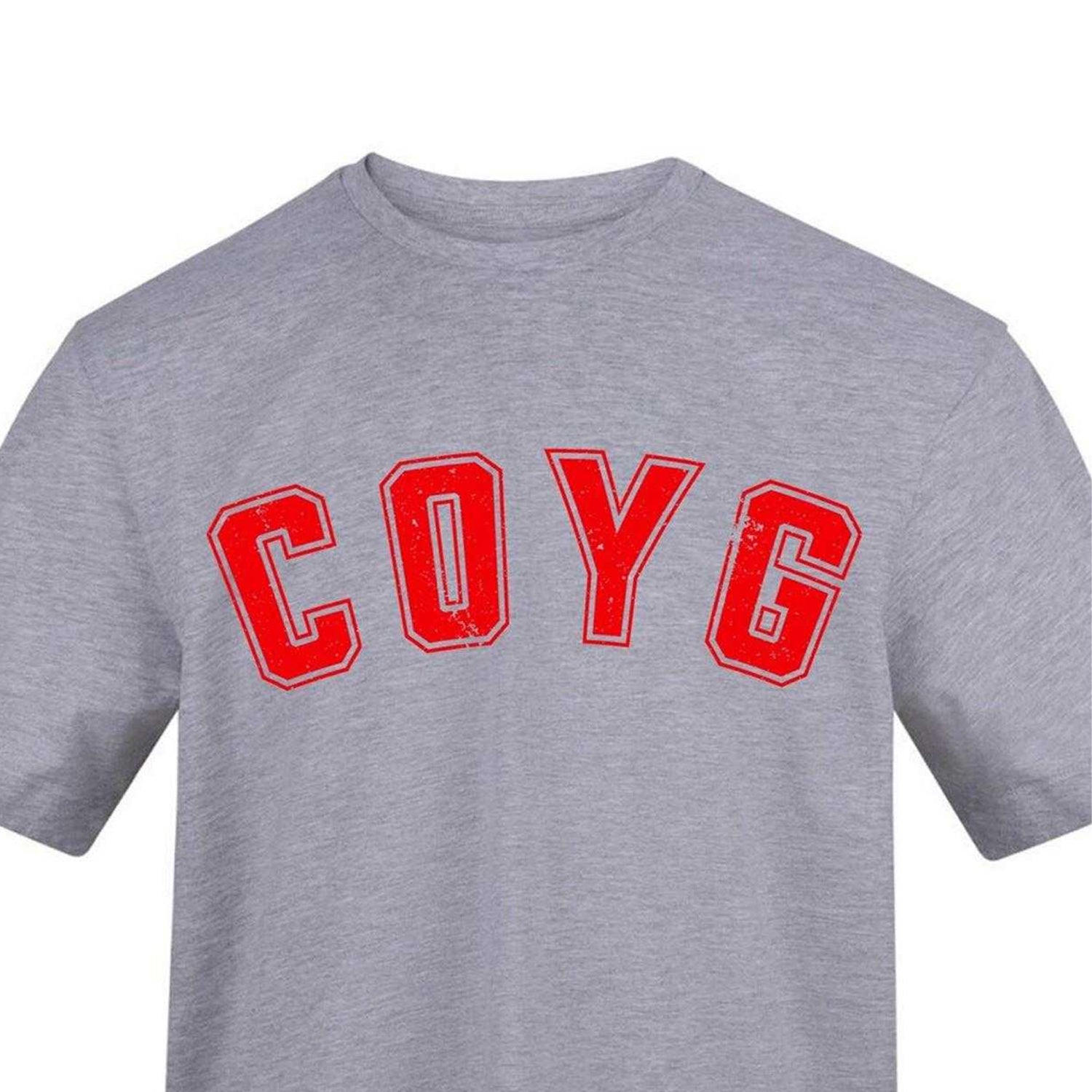 Grey - Side - AWD Mens Carabao Cup Printed T-Shirt