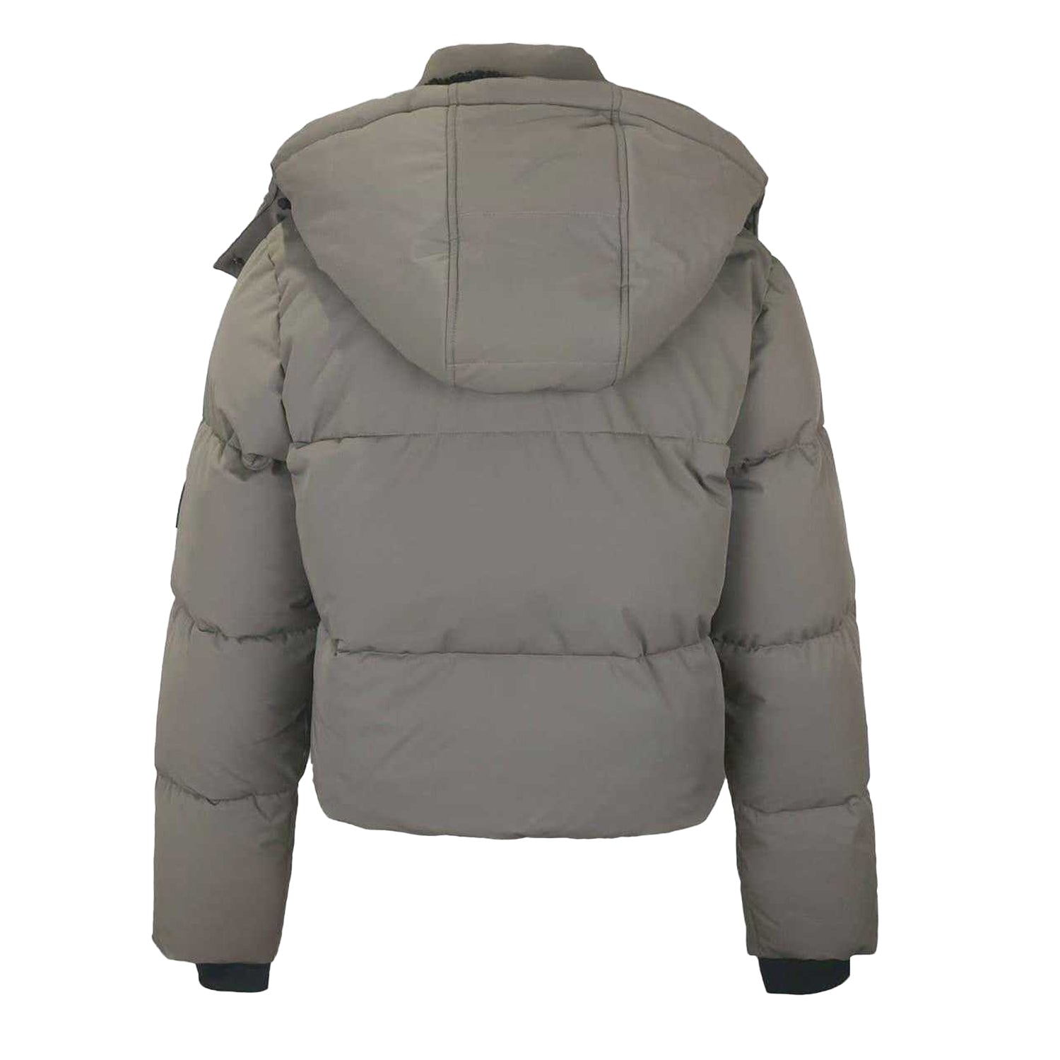Mocha - Back - Jack Wills Womens-Ladies Cropped Puffer Jacket