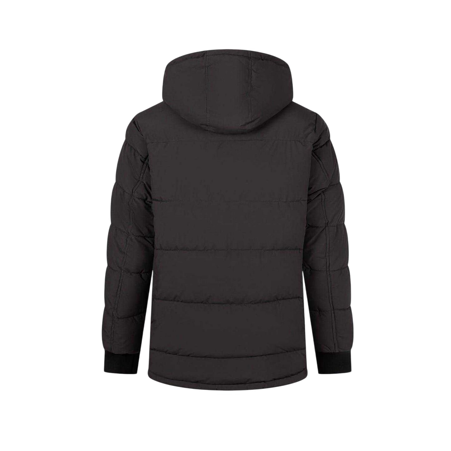 Charcoal - Back - Minoti Mens Waterproof Padded Snug Fit Parka