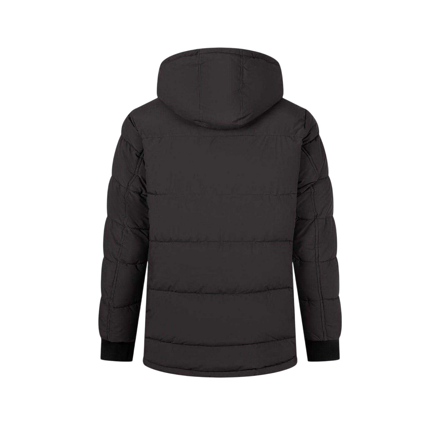 Charcoal - Back - Minoti Mens Waterproof Padded Snug Fit Parka