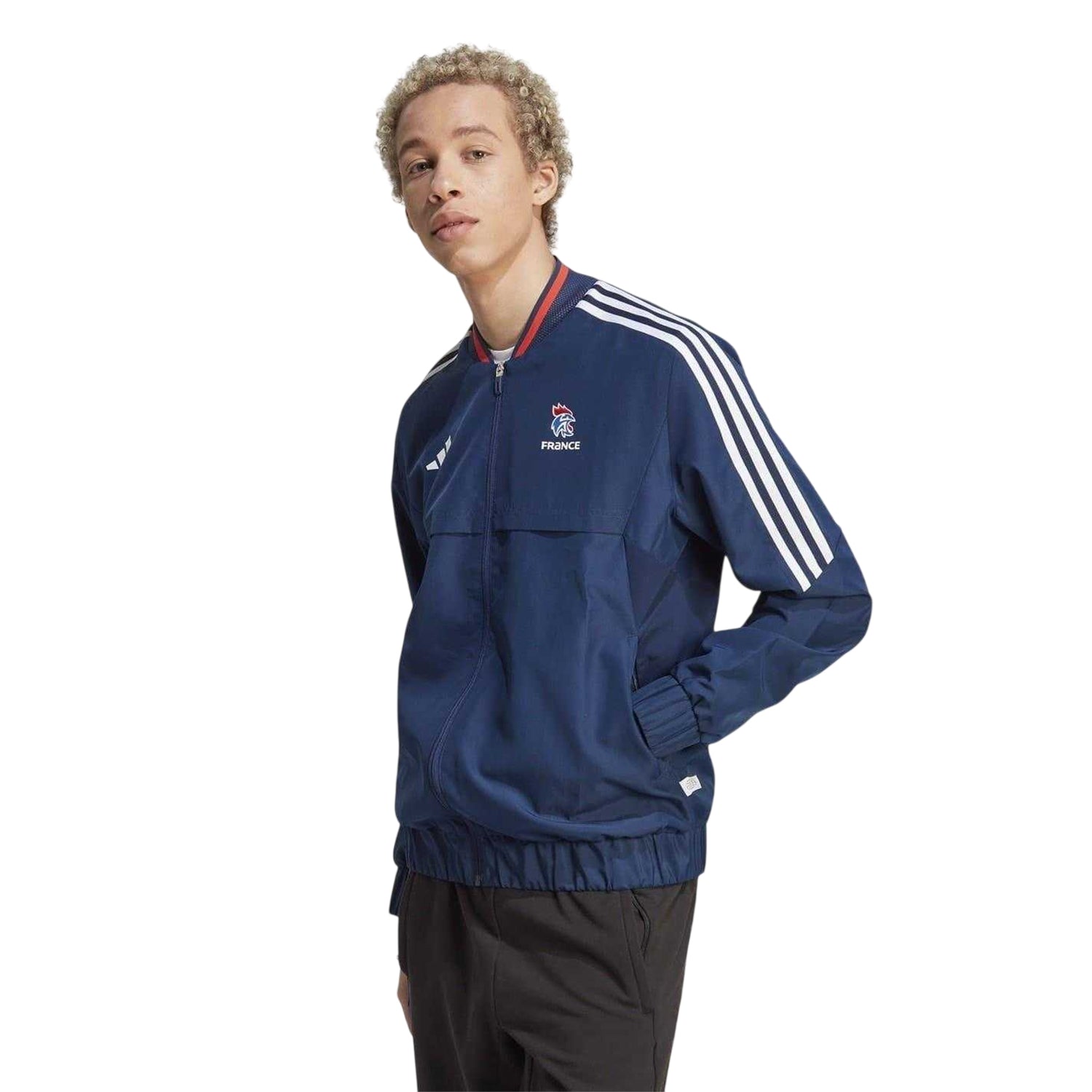 Team Navy Blue - Lifestyle - Adidas Mens France FFR Anthem Jacket