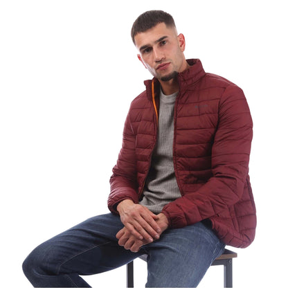 Bordeaux - Lifestyle - Aquascutum Mens Puffer Jacket