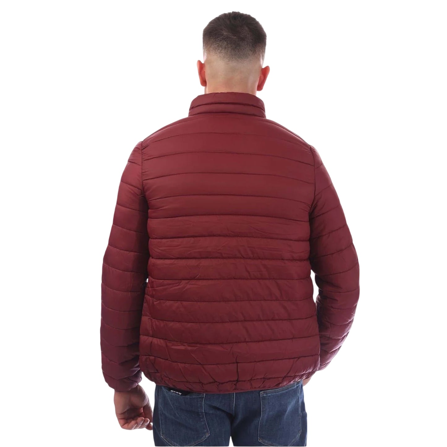 Bordeaux - Back - Aquascutum Mens Puffer Jacket