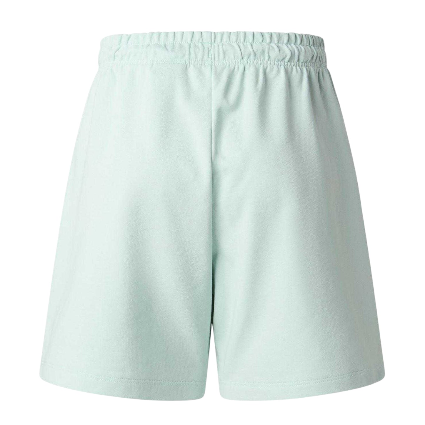 Opal - Back - The North Face Womens-Ladies Essential Lightweight Shorts