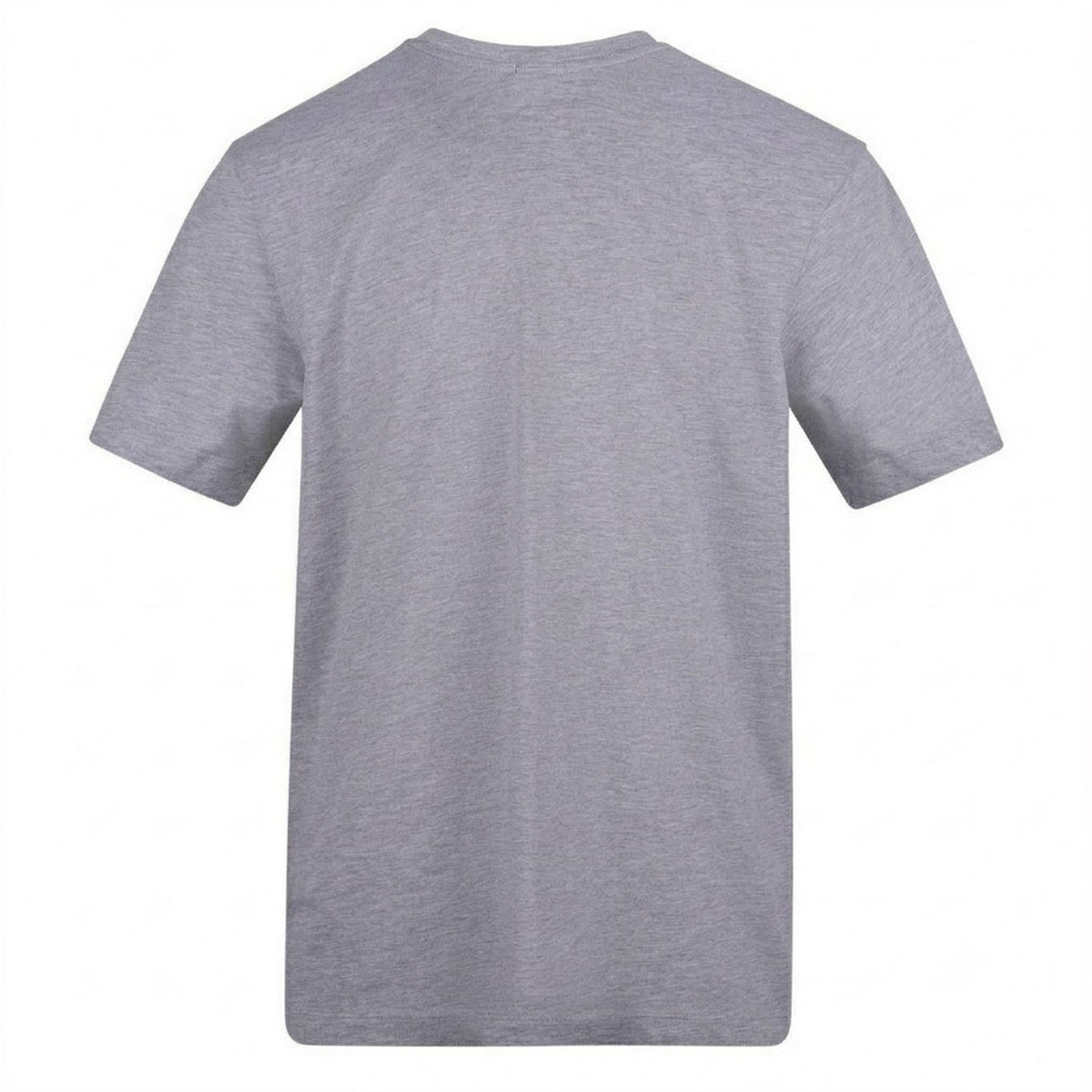 Grey - Back - Loyalti Unisex Adult Graphic Skull T-Shirt